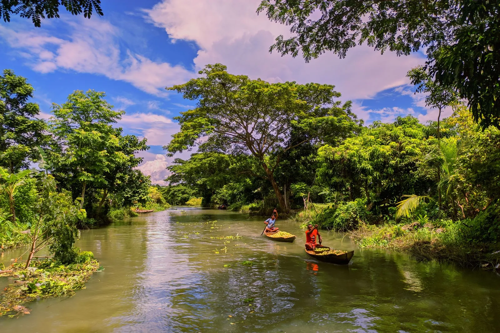 Small boats on a tree-lined canal in Barishal — the division a remote app developer in Barishal builds Android apps for