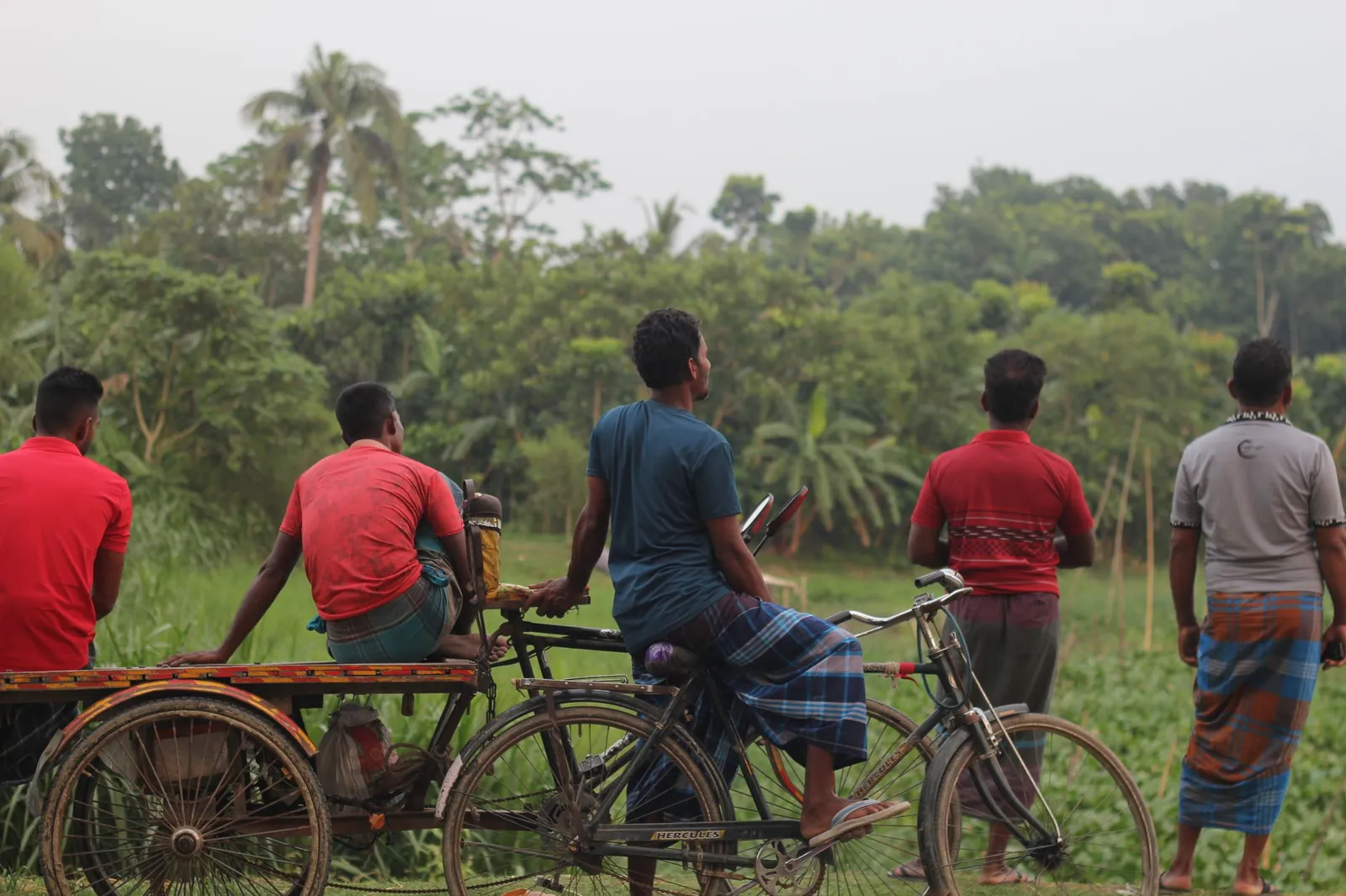 Men with bicycles and a rickshaw van in a green village in Jashore — the nearby customers an SEO expert in Jashore helps local businesses reach on Google