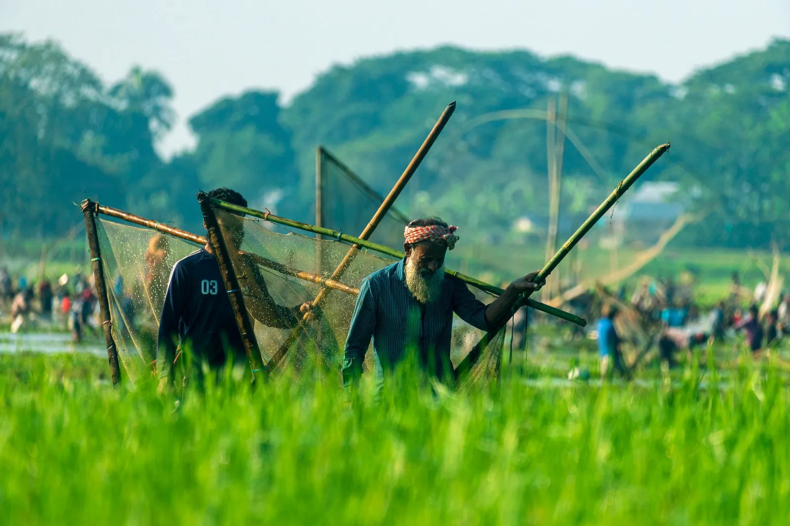 Fishermen with traditional bamboo nets in a green field in Mymensingh, Bangladesh — the fish-farming region an SEO expert in Mymensingh helps local businesses get found in