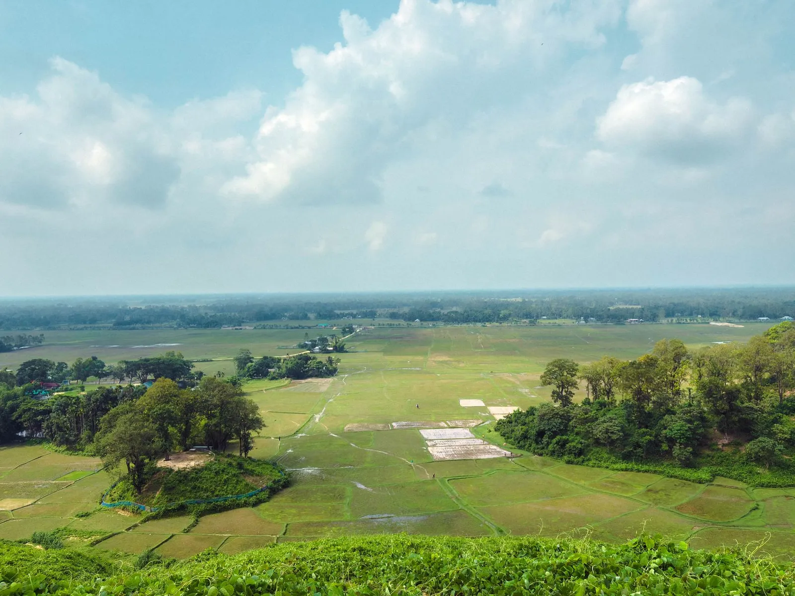 Green fields and village scenery in Netrokona, Mymensingh Division — the region an app developer in Mymensingh builds Android and iOS apps for
