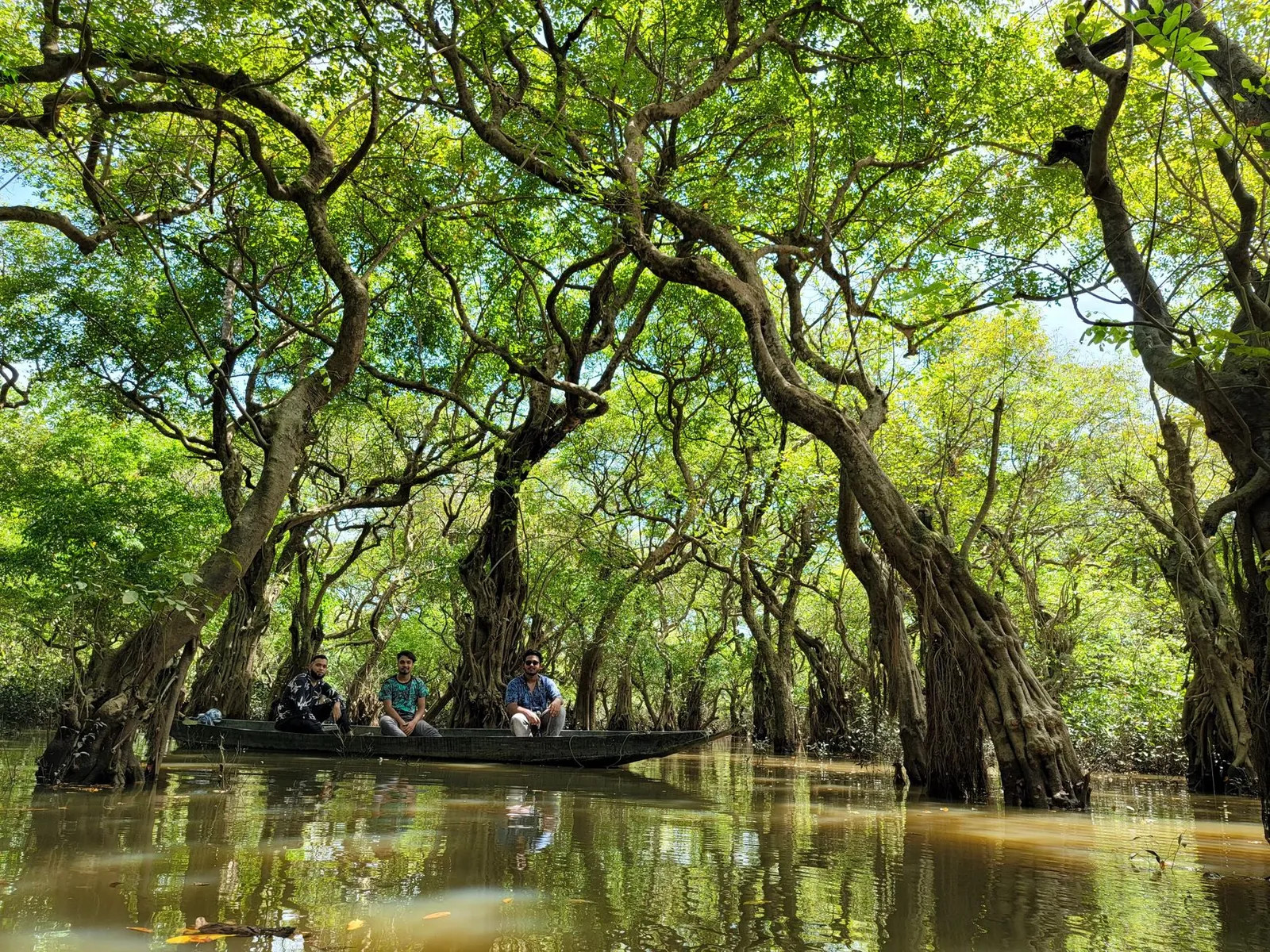 Visitors in a boat under the trees of Ratargul swamp forest in Sylhet — the kind of trip people plan in Google before an SEO expert in Sylhet gets the bookings found